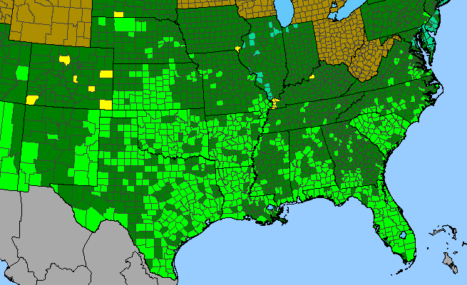 The range of Heterotheca subaxillaris